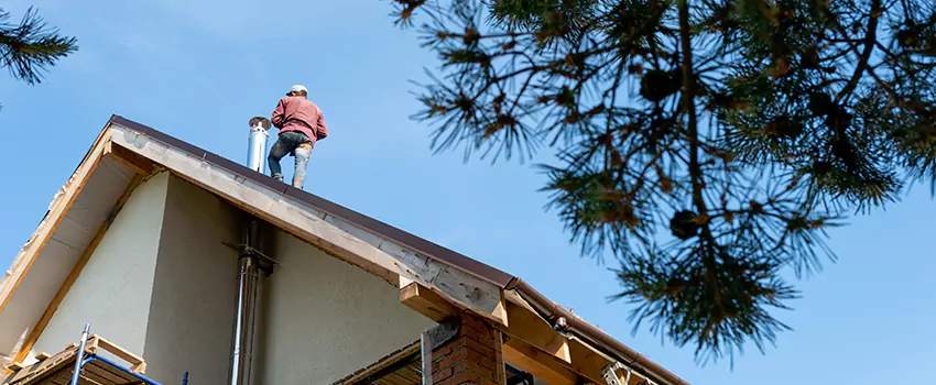 Birds Removal Contractors from Chimney in Killeen, TX