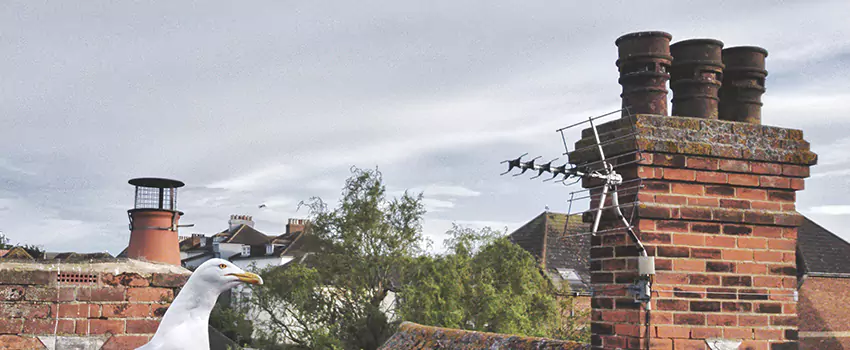 Chimney Cleaning And Restoration in Killeen, Texas